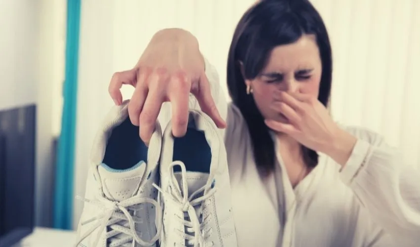 Can tennis shoes be washed in the dishwasher?