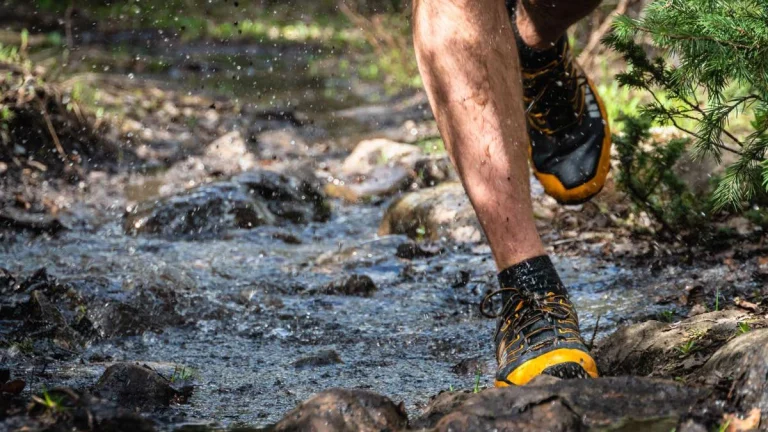 How To Choose Trail-Running Shoes? Expert Advice